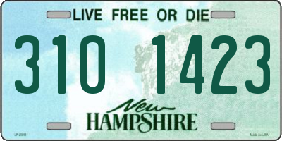 NH license plate 3101423