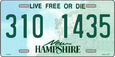NH license plate 3101435