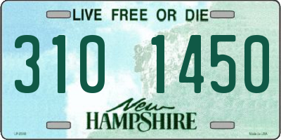 NH license plate 3101450