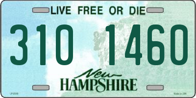 NH license plate 3101460