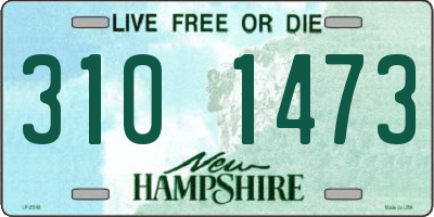 NH license plate 3101473