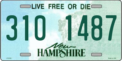 NH license plate 3101487