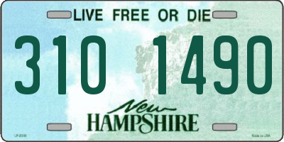 NH license plate 3101490