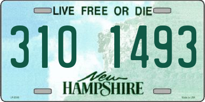 NH license plate 3101493