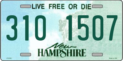 NH license plate 3101507