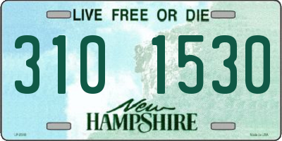 NH license plate 3101530