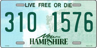 NH license plate 3101576