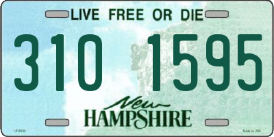 NH license plate 3101595
