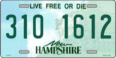 NH license plate 3101612