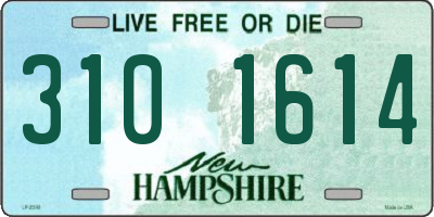 NH license plate 3101614