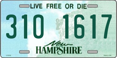 NH license plate 3101617