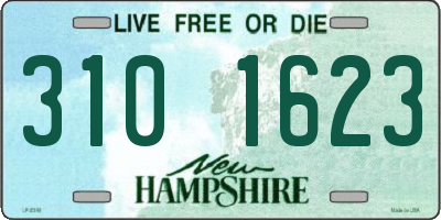 NH license plate 3101623