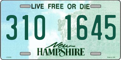 NH license plate 3101645
