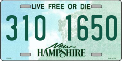 NH license plate 3101650
