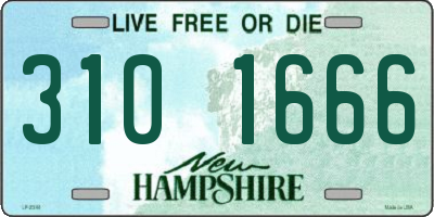 NH license plate 3101666