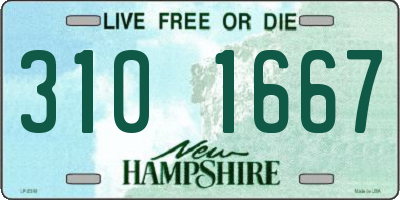 NH license plate 3101667