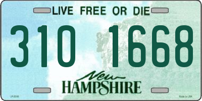 NH license plate 3101668
