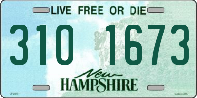 NH license plate 3101673