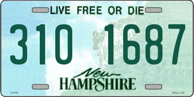 NH license plate 3101687