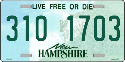 NH license plate 3101703