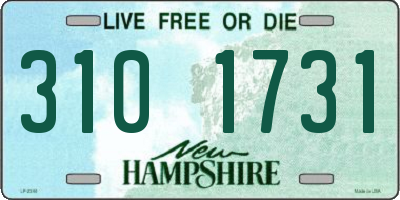 NH license plate 3101731