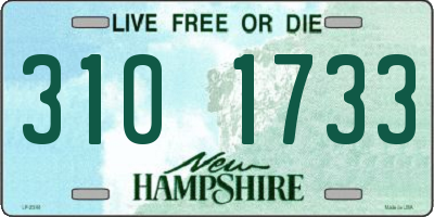NH license plate 3101733
