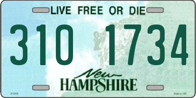 NH license plate 3101734