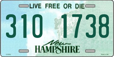 NH license plate 3101738