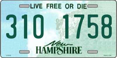 NH license plate 3101758