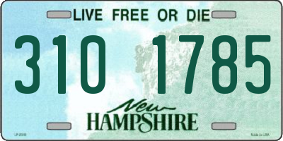 NH license plate 3101785
