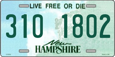 NH license plate 3101802