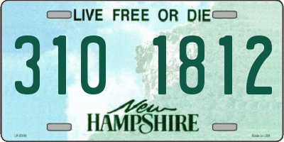 NH license plate 3101812