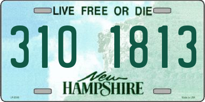 NH license plate 3101813