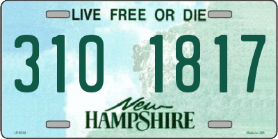 NH license plate 3101817