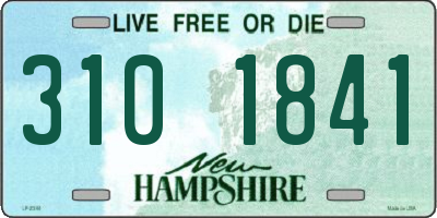 NH license plate 3101841