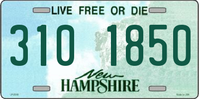 NH license plate 3101850