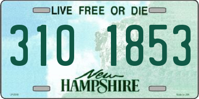 NH license plate 3101853