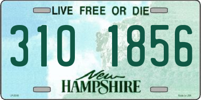 NH license plate 3101856