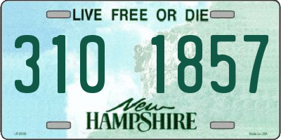 NH license plate 3101857