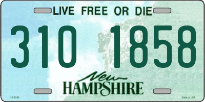 NH license plate 3101858