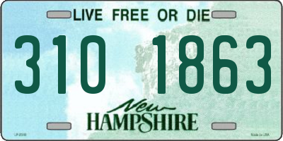 NH license plate 3101863