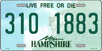 NH license plate 3101883