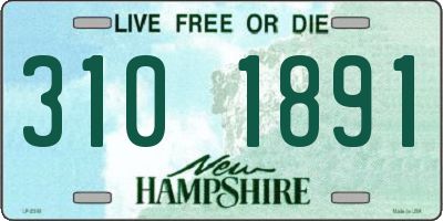 NH license plate 3101891