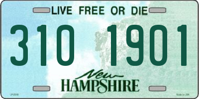NH license plate 3101901