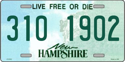 NH license plate 3101902