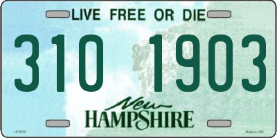 NH license plate 3101903