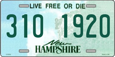 NH license plate 3101920