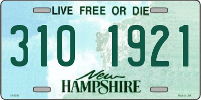 NH license plate 3101921