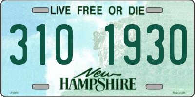 NH license plate 3101930