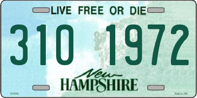 NH license plate 3101972